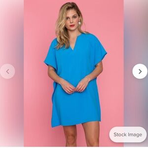 EUC Crosby by Mollie Burch Renee dress